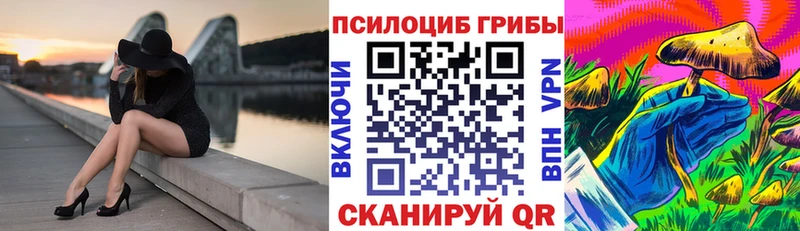 Купить где  Щёкино  Галлюциногенные грибы Magic Shrooms 